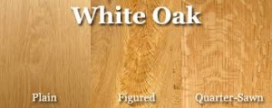 white oak species